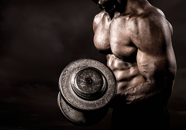 Complete Guide to Protein Anabolism and Catabolism