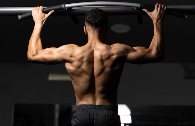 Comprehensive Guide to Bent Over Row Back Exercises - Enhance Muscle Strength