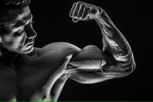 Optimizing Testosterone for Muscle Building in Bodybuilding