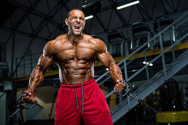 Harnessing Power: The Best Steroids for Size and Mass