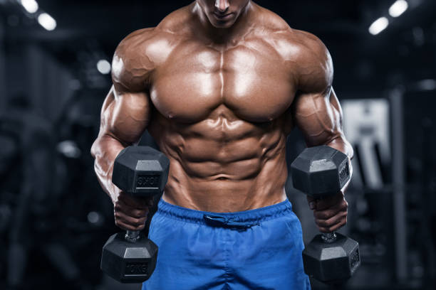 Top 10 Exercises for Building Lean Muscle Mass