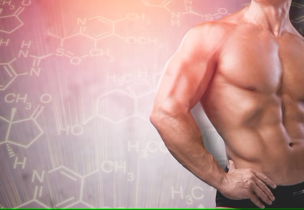 Unlocking the Potential of 7-Alpha-Methyl-Estra-4-en-3,17-Dione in Fitness