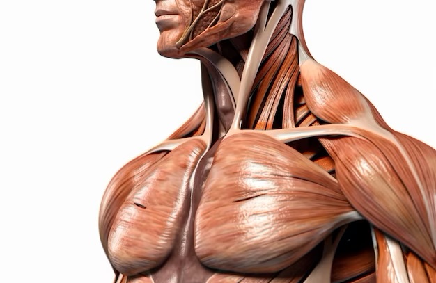 The Science of Trenbolone: Unlocking Its Wonders, Part 1