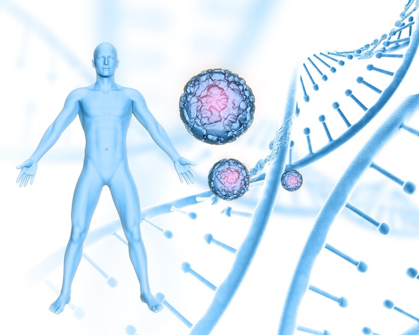 Guía de Terapia Post Ciclo: Restaurando el Equilibrio Hormonal Después de los Esteroide