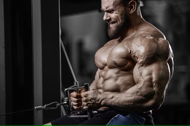 Equipoise Cycle: Exploring Benefits for Bodybuilding - A Comprehensive Guide